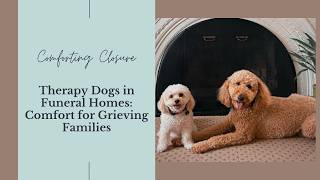 Therapy Dogs in Funeral Homes: Comfort for Grieving Families