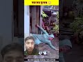 ভয়ংকর দুঃস্বপ্ন😳#shorts