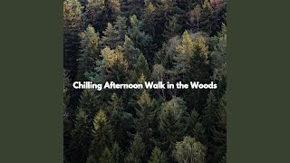 Sumptuous Acoustic Guitar Music - Vibe for Powerful Hours