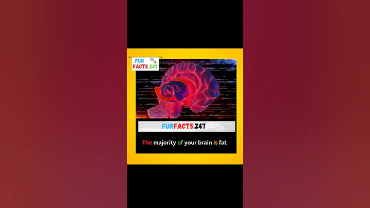 Did you know ? #video #viral #subscribe #bhfyp #share #information #ytshorts #shorts #youtubeshorts