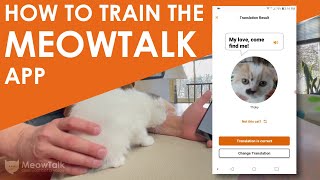 How to train the MeowTalk app for your cat screenshot 2