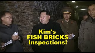 Kims FISH BRICKS Inspections - Pirated North Korean TV