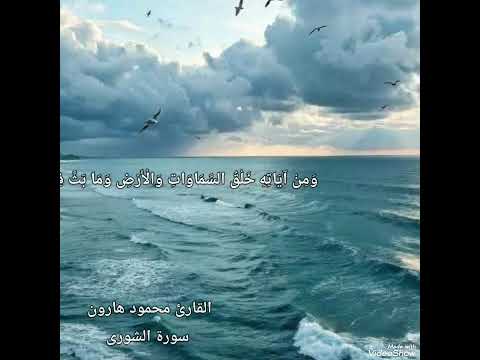 من سورة الشورى القارئ محمود هارون آية قرآنية غيرت حياتي