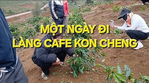 Hướng dẫn Làng Cà phê Kon Cheng, Măng Đen. MV Nhân Trí.