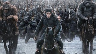 ملخص سلسلة افلام القرد سيزر | سيزر القرد جمع جيش كامل من القرود للقضاء علي البشر😨 Planet of the Apes