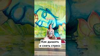 Как дышать, чтобы снять стресс | 3 минуты