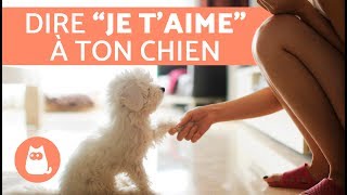 7 manières de dire à votre chien que vous l’aimez