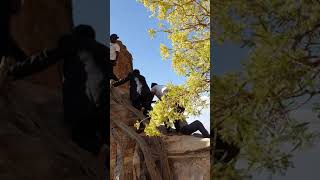Trip To Geraalta Mountains , Abune Yemata Guh , Tigrai Ethiopia 2020 - Part 2