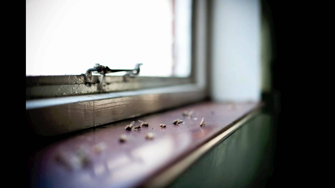 Urban Explore - Harold Wood Hospital