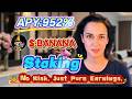 💸 Win Every Day! I Staked BANANA and Made $500+ in 24 Hours – 900%+ APY Easy Passive Income! 🔥