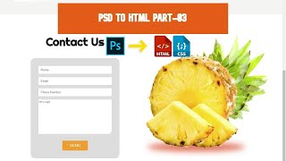 PSD to HTML CSS Template Design | Part-03