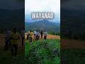 Wayanad ഈ സ്ഥലം കണ്ടിക്കോ?