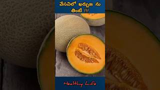 ఖర్బుజ ప్రయోజనాలు Healthy Life shorts shortsfeed viral healthtips health muskmelon