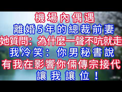 機場內偶遇離婚 5 年的總裁前妻，她質問：“你為什麼一聲不吭就走？” 我冷笑：“你男秘書說，有我在影響你倆傳宗接代，讓我讓位”#岁月温情 #情感故事 #故事 #短篇小说 #小说 #為人處世 #幸福人生