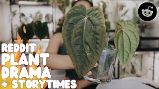discussing reddit plant drama + telling my own stories! / repotting anthurium - repot & chat #15