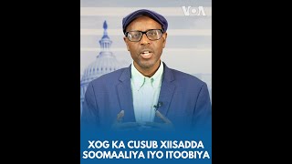Xog ka cusub xiisadda Soomaaliya iyo Itoobiya | VOA Somali