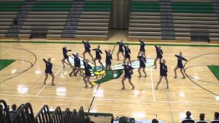 Rogers Varsity Jazz Dance Team, Edina Invitational 12-14-2013