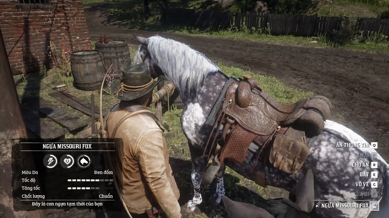 RED DEAD REDEMTION 2 .Săn con ngựa nhanh nhất game - YouTube