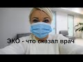 ЭКО!!!Что сказал доктор после узи!!!! Котики такие котики))))