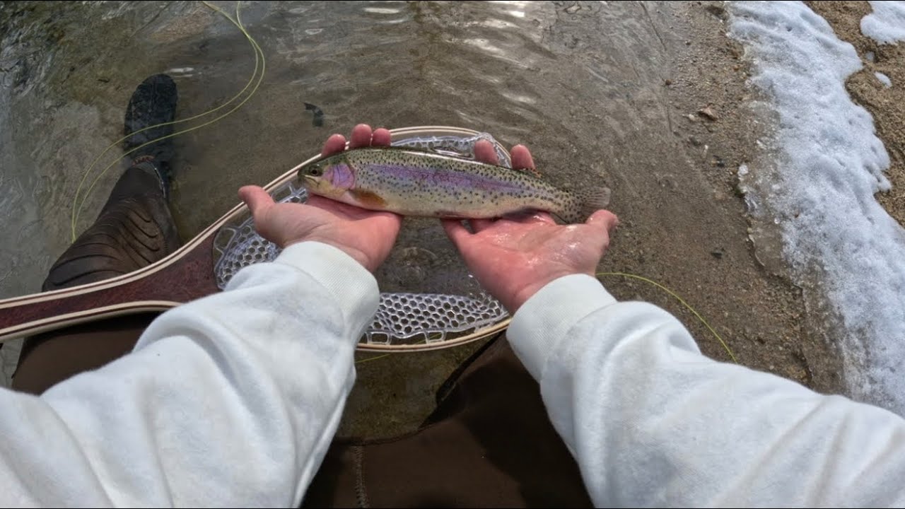 Winter fly fishing Wilson’s creek