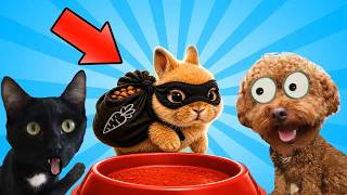 ¿MI CONEJITO BEBÉ ES EL LADRÓN DE COMIDA O SON MIS GATOS Y PERROS?