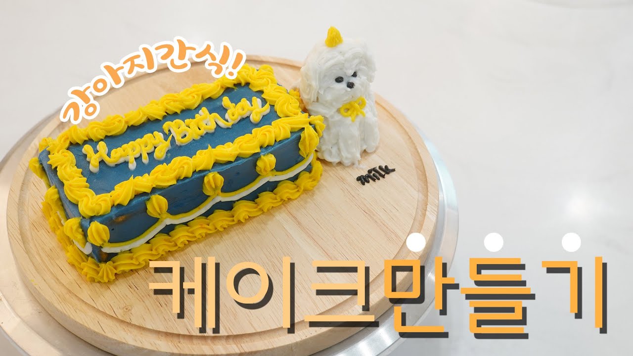 [특별한 생일선물] 강아지 케이크 만들기