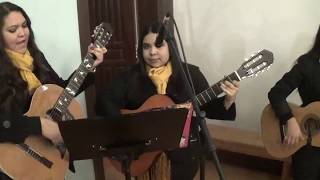 Video thumbnail of "Buenos dias paloma blanca // Rondalla Ilusión Femenil"