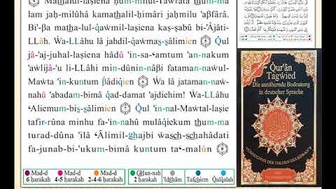 ختمة من مصحف التجويد باللغة الألمانية الصفحة رقم 553