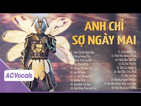 Anh Chỉ Sợ Ngày Mai Em Đi Rồi Mảnh Tình Sai Đôi Tuyển Tập Playlist Ca Sĩ Giấu Mặt