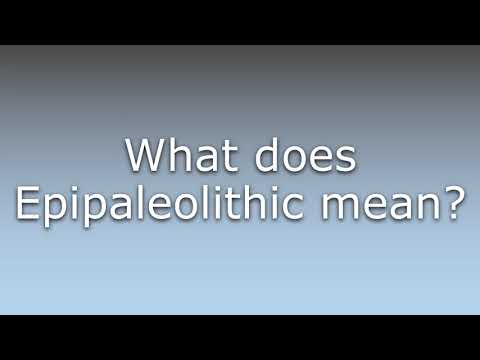 What does Epipaleolithic mean?