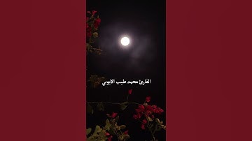 #آيات #سورة_مريم #القارئ #محمد_طيب #الأيوبي