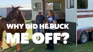 Problem Horse: Bucking                  Part 1 of 3