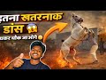 इतना अच्छा डांस 😱✅ Horse Dance Training 🐴 #horse #horsevideo #viralvideo