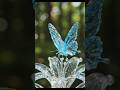 The Crystal Butterfly: A Sparking Transformation 🦋💎✨