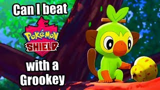 Can I Beat Pokemon Shield with Only One Grookey? POKEMON CHALLENGE (No Dynamax & No Items in Battle)