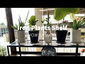 アイアンシェルフ　アイアン植物棚を製作しました