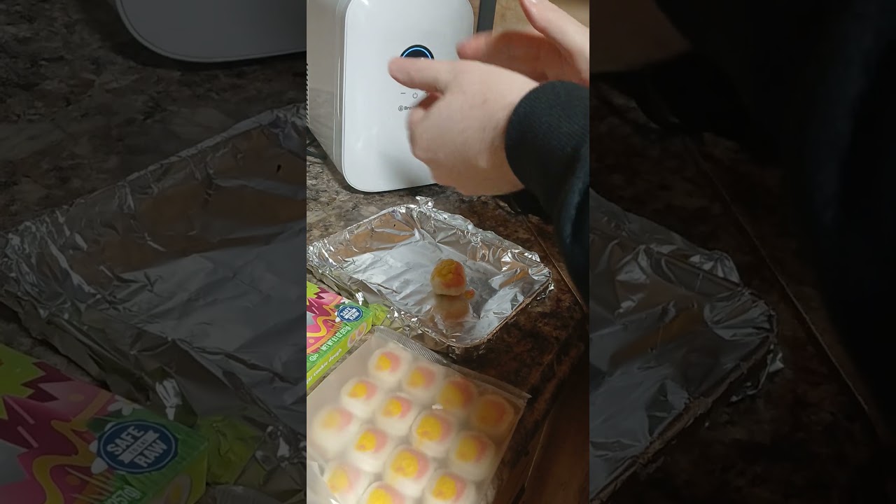 Sugar Cookie Experiment with a Grape ( Part 1)