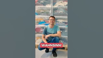 Riesenberg aus Klemmbausteinen? SNAP: Challenge accepted! #startup #klemmbausteine