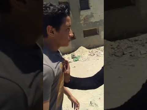 حكايه بيني وبين اخصامي مشهد صغير من افلامي البدايه