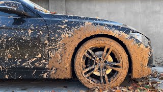 Wash the Dirtiest BMW 3 : Deep Exterior Detailing