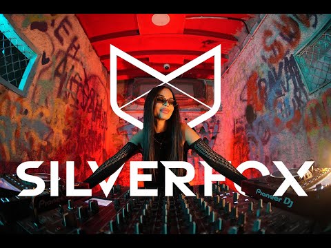 SILVERFOX (BR) - YouTube