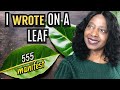 Write 555 manifest on a bay leaf and see what happens fast