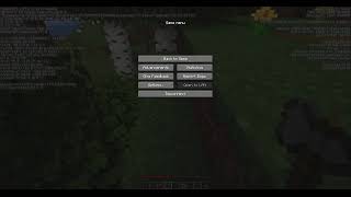 Playing Minecraft with Pirate Kitty
