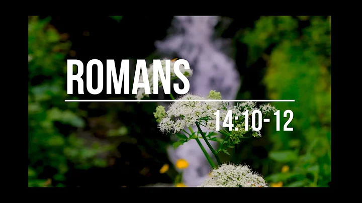 romans 14:10-12 Bible memory verse for Kindergarten & Primary quarter 2 B-21 (Lyrics) @thesuppeskids