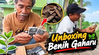 Download lagu UNBOXING AGARWOOD SENT FROM PAPUA AND SHARING IT WITH BLI NYOMAN