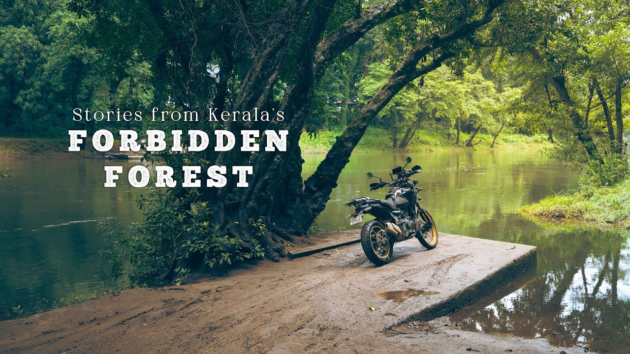 Воплощение мечты в глухом лесу Кералы [SS Эпизод 13]