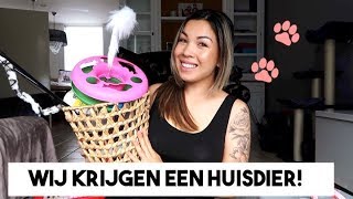 WE KRIJGEN EEN HUISDIER! LEUK NIEUWS & KITTEN SHOPLOG | SUNSEEREE FAMILIE VLOG