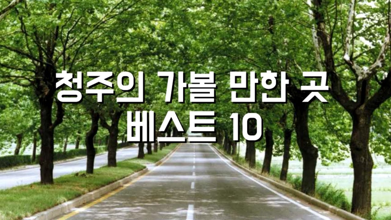 청주 가볼만한곳 베스트10  #수암골 #청남대 #상당산성