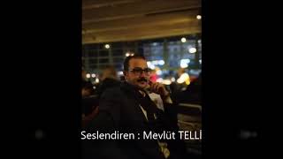 Mevlüt TELLİ - Sen Bilmezsin