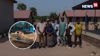 Nigeria Shock: 50 Catholic School Students Escape Mass Kidnapping | Niger State Crisis | 4K